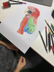 45D9BD14 42E7 4FF9 9AE2 C14BAC543E60 1 105 C