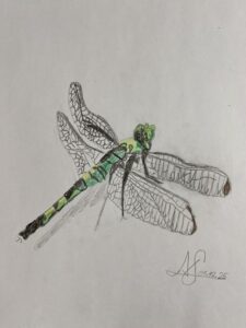 7DD54506 B0D0 4B79 BED8 CFD390988308 1 105 C